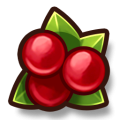 Berries.png