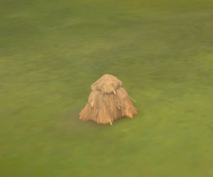 Frugal Haystack.jpeg