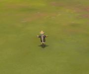 Vigilant Scarecrow.jpeg